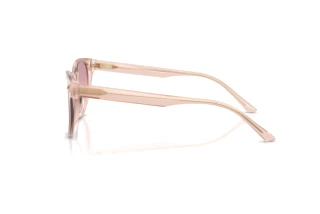 Vista laterale Jimmy Choo JC5043D (505268)