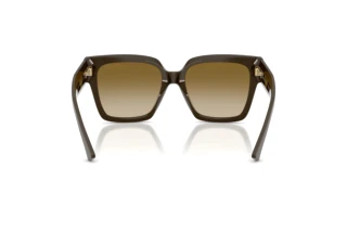 Vista posteriore Jimmy Choo JC5047B (506013)