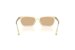 Vista posteriore Jimmy Choo JC5050U (5083/8)