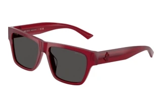 Vista frontale Jimmy Choo JC5052U (508187)