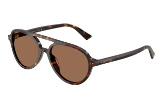 Vista frontale Jimmy Choo JC5055U (500273)