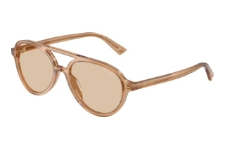 Vista frontale Jimmy Choo JC5055U (507693)