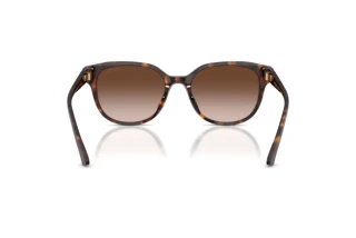 Vista posteriore Jimmy Choo JC5057D (500213)