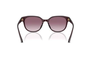 Vista posteriore Jimmy Choo JC5057D (50866X)