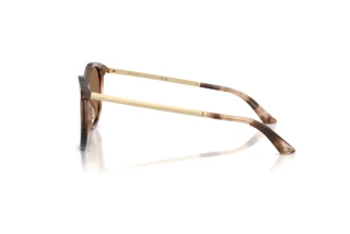 Vista laterale Jimmy Choo JC5060 (509773)