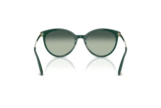 Vista posteriore Jimmy Choo JC5060 (510019)