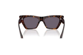 Vista posteriore Jimmy Choo JC5062U (50021A)