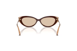 Vista posteriore Jimmy Choo JC5065U (510593)