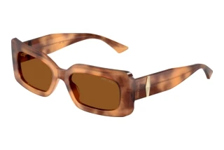 Vista frontale Jimmy Choo JC5067 (509673)