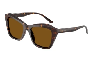 Vista frontale Jimmy Choo JC5076 (500283)