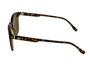 Vista laterale Lacoste L6073S (217)