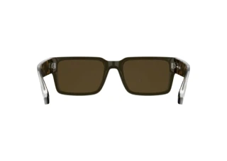 Vista posteriore Lacoste L6089S (275)