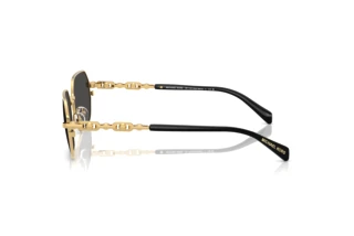 Vista laterale Michael Kors SAINT MARTIN (MK1165 - 189687)