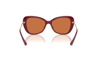 Vista posteriore Michael Kors SAINT CROIX (MK2230U - 400473)