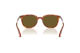 Vista posteriore Moncler KORRA (ME6013 - 300475)