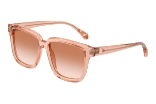 Vista frontale Moncler CLASICO (ME6026 - 304513)