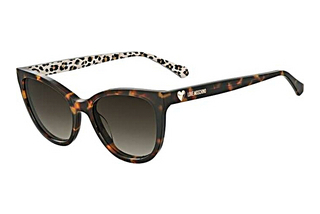 Moschino MOL072/S H7P/HA BROWN SHADEDHAVANNA