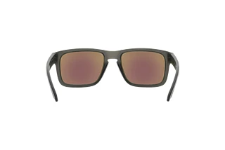 Vista posteriore Oakley HOLBROOK (OO9102 - 9102X5)