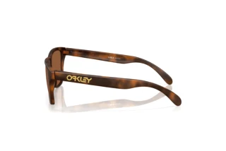 Vista laterale Oakley FROGSKINS S (OO9508 - 950803)