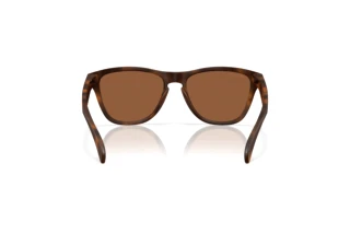 Vista posteriore Oakley FROGSKINS S (OO9508 - 950803)