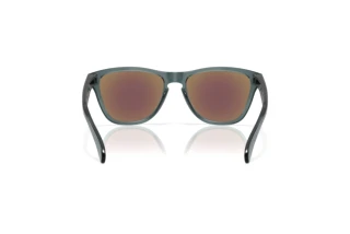 Vista posteriore Oakley FROGSKINS S (OO9508 - 950805)