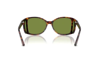 Vista posteriore Persol PO0005 (24/4E)