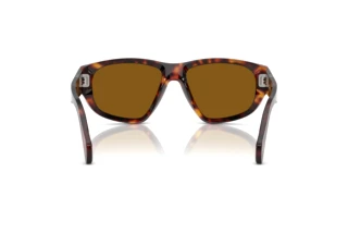 Vista posteriore Persol PO0050S (24/33)