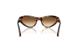 Vista posteriore Persol PO0052S (24/51)