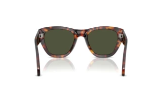 Vista posteriore Persol PO0054S (24/31)