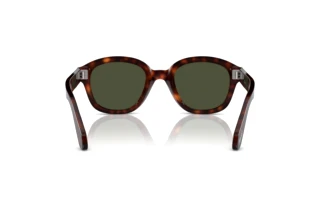 Vista posteriore Persol PO0060S (24/31)