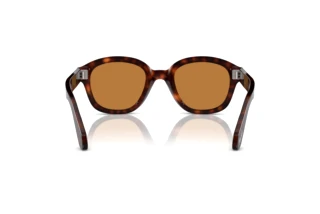 Vista posteriore Persol PO0060S (24/53)