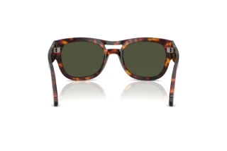 Vista posteriore Persol PO0064S (24/31)