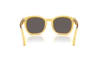 Vista posteriore Persol PO0082S (204/B1)