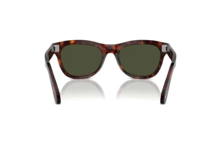 Vista posteriore Persol PO0086S (24/31)