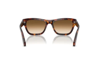 Vista posteriore Persol PO0091S (24/51)