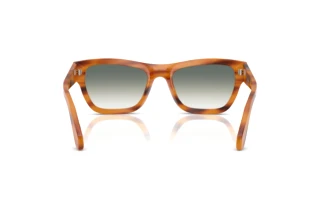 Vista posteriore Persol PO0091S (960/3A)