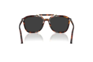Vista posteriore Persol PO0203S (24/48)