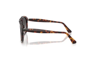 Vista laterale Persol PO0649NE (24/M3)