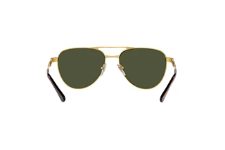 Vista posteriore Persol PO1003S (515/31)