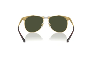 Vista posteriore Persol PO1016S (515/31)