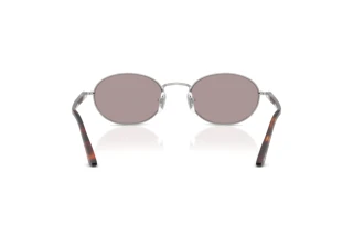 Vista posteriore Persol IDA (PO1018S - 102153)