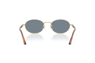 Vista posteriore Persol IDA (PO1018S - 113256)