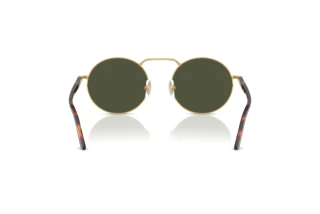 Vista posteriore Persol PO1019S (515/31)