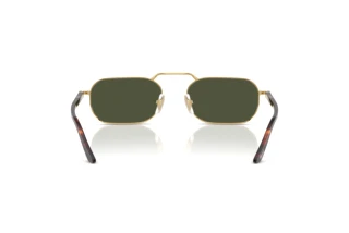 Vista posteriore Persol PO1020S (515/31)