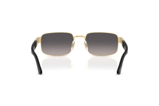 Vista posteriore Persol PO1022S (515/M3)