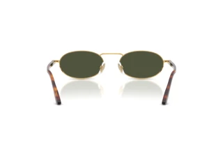 Vista posteriore Persol PO1023S (515/31)