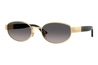 Vista frontale Persol PO1024S (515/M3)