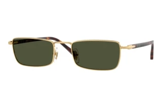 Vista frontale Persol PO1025S (515/31)