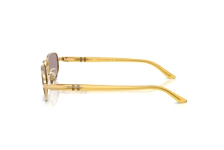 Vista laterale Persol PO1028S (112953)