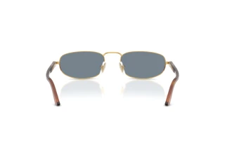 Vista posteriore Persol PO1028S (113256)
